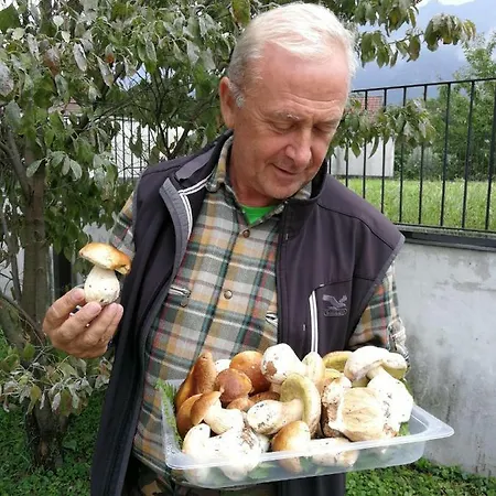 Gasthof Ca Di Mulinir Cuzzego